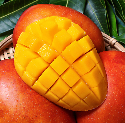 포토 JPG 해외이미지 나뭇잎 근접촬영 사람없음 하이앵글 노란색 바구니 망고 해외포토 뷰포인트 컬러 잎 열대과일 파일형식 이미지허브