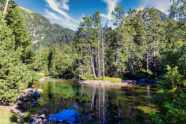 포토 JPG 해외이미지 나무 계절 공원 호수 여행 잎 자연 하늘 산 파노라마 국립공원 풍경 사람없음 야외 목재 초록색 물 여름 파란색 강 컬러풀 햇빛 환경 계곡 바위 나뭇가지 신선 개울 황무지 스페인 숲 장면 내추럴 전국 절정 해외포토 자연요소 식물 공공시설 유럽 컬러 재료 촬영기법 태양 돌_바위 생태계 파일형식 이미지허브