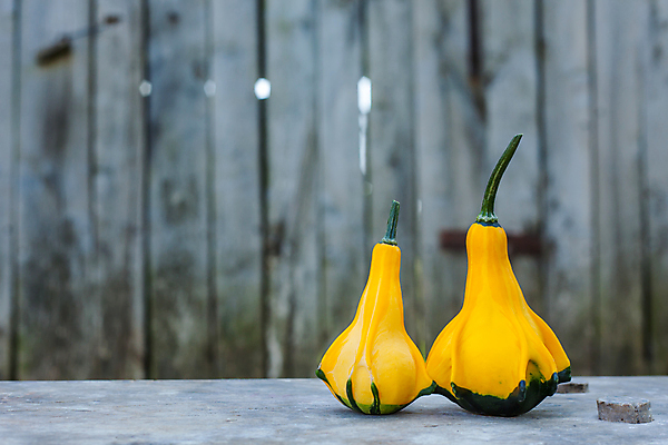 포토 JPG 해외이미지 식물 접시 음식 백그라운드 농업 다이어트 채소 오렌지 재료 자연 탁자 호박 파슬리 건강 요리 사람없음 목재 가로 초록색 컬러풀 노란색 식사 신선 닫기 먹기 유기농 날것 박 스쿼시 내추럴 점심식사 고립 숙성 주키니 채식주의자 비건 해외포토 나무 식기 웰빙 산업 스포츠 컬러 가구 과일 모션 구기 생태계 채식 파일형식 이미지허브