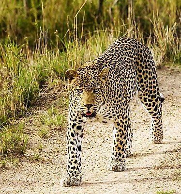 포토 JPG 해외이미지 여행 사람없음 여행객 해외포토 사람 파일형식 이미지허브
