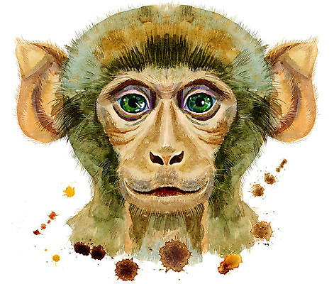 포토 JPG 해외이미지 캐릭터 디자인 일러스트 미술 사람없음 원숭이 해외일러스트 포유류 문화예술 파일형식 이미지허브