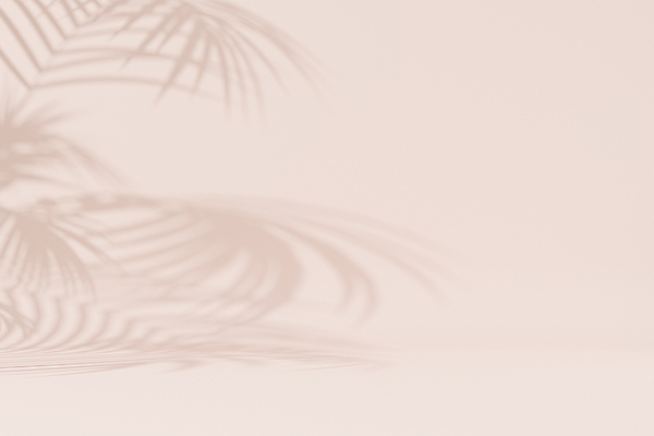 포토 JPG 해외이미지 백그라운드 일러스트 나뭇잎 그림자 사람없음 블러 블러효과 해외일러스트 잎 파일형식 효과 이미지허브