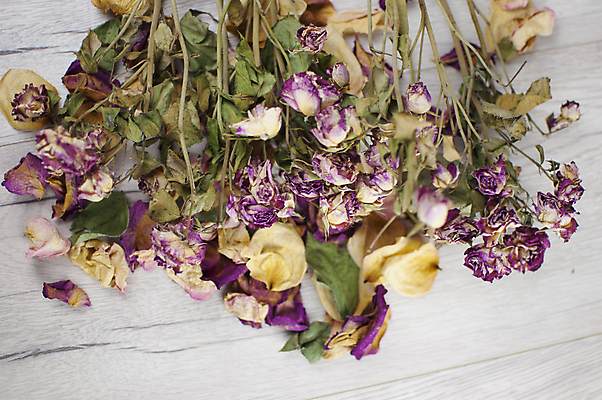 포토 JPG 해외이미지 식물 디자인 꽃잎 꽃 종이 분홍색 꽃다발 결혼 백그라운드 잎 꽃무늬 자연 탁자 엄마 표면 날씨 건조 발렌타인데이 선물 사랑 사람없음 목재 장식 상자 뷰티 장미 갈색 우주 낭만 수확 벚꽃 가을 시골 축하 인사 신용카드 정상 심볼 복고 내추럴 그런지 옛날 카피스페이스 해외포토 나무 계절 감정 컬러 가구 컨셉 무늬 농업 재료 가족 데이이벤트 이벤트 금융 공백 예절 생태계 파일형식 이미지허브