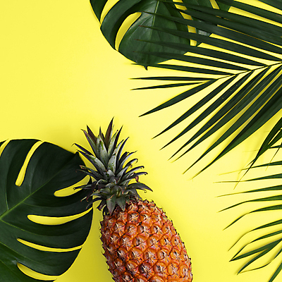 포토 JPG 해외이미지 실내 사람없음 하이앵글 파인애플 열대과일 노란배경 몬스테라 열대잎 제철과일 해외포토 식물 뷰포인트 백그라운드 잎 과일 내부 노란색 제철 파일형식 이미지허브
