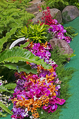 포토 JPG 해외이미지 식물 디자인 꽃잎 꽃 줄기 분홍색 꽃다발 결혼 백그라운드 꽃무늬 패턴 자연 추상 선물 사람없음 야외 장식 빨간색 초록색 뷰티 노란색 우주 정원 봄 낭만 벚꽃 흰색 나뭇가지 신선 개화 난초 우아함 순수 묘사 오브젝트 질감 내추럴 고립 돌봄 해외포토 나무 계절 컬러 컨셉 무늬 모션 이벤트 생태계 파일형식 이미지허브