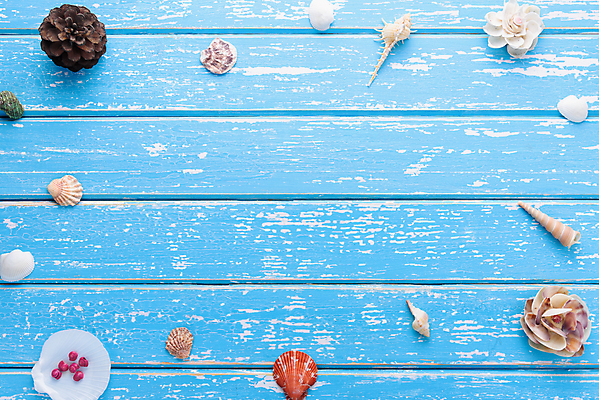 포토 JPG 해외이미지 디자인 별 종이 바다 여행 백그라운드 컨셉 지도 자연 조개 휴식 불가사리 연체동물 사람없음 목재 장식 빨간색 물 파란색 스파 껍질 흰색 소라 나침반 갑판 수집 휴양지 질감 가리비 해외포토 자연요소 나무 컬러 배_교통 재료 어패류 극피동물 무척추동물 장소 생태계 파일형식 이미지허브