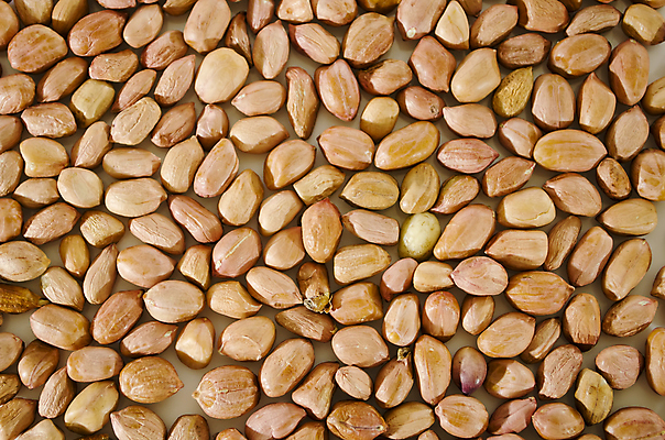 포토 JPG 해외이미지 음식 패턴 농업 다이어트 건강 사람없음 그룹 상품 유기농 날것 땅콩 많음 해외포토 웰빙 산업 컨셉 무늬 견과류 파일형식 이미지허브