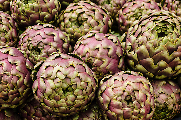 포토 JPG 해외이미지 식물 음식 채소 요리 사람없음 초록색 지구본 로마 먹기 엉겅퀴 로마인 식용 아티초크 영원 해외포토 꽃 컬러 모션 인종 이탈리아 파일형식 이미지허브