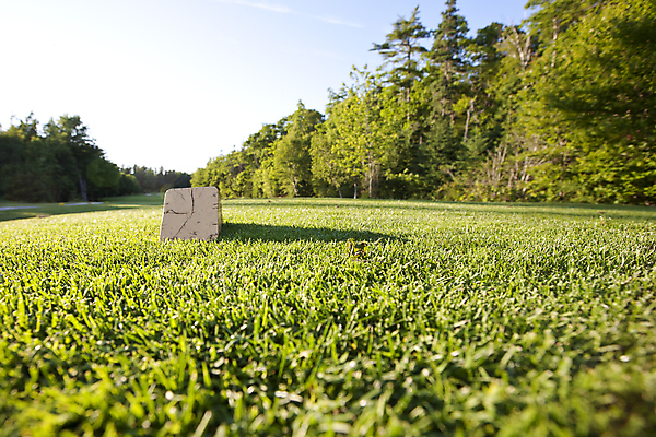 포토 JPG 해외이미지 스포츠 백그라운드 골프 자연 놀이 하늘 그림자 풍경 취미 사람없음 야외 목재 초록색 파란색 상자 블록 게임 강의 골프티 페어웨이 카피스페이스 해외포토 나무 컬러 재료 골프용품 구기 공백 생태계 파일형식 이미지허브