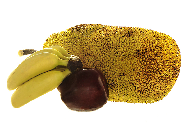 포토 JPG 해외이미지 나무 식물 음식 줄기 백그라운드 농업 과일 재료 자연 디저트 건강 씨앗 동양인 사람없음 초록색 농장 노란색 흰색 신선 달콤 맛 큼 묘사 유기농 질감 비타민 내추럴 고립 숙성 이국적 비건 맛있는 해외포토 웰빙 산업 컬러 컨셉 인종 크기 생태계 영양소 채식주의자 파일형식 이미지허브