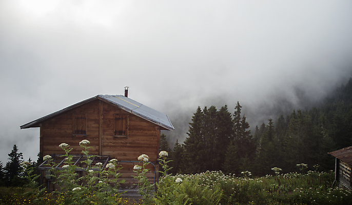 포토 JPG 해외이미지 지붕 굴뚝 사람없음 안개 숲 난로 삼림지대 해외포토 날씨 난방기 파일형식 이미지허브