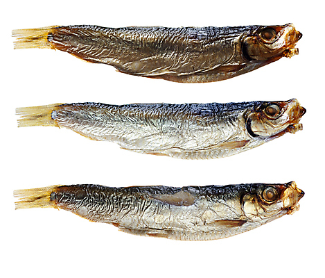 포토 JPG 해외이미지 음식 건조 어류 사람없음 굽기 묘사 흰배경 날것 훈제 고립 해외포토 백그라운드 수중동물 흰색 구이 파일형식 이미지허브