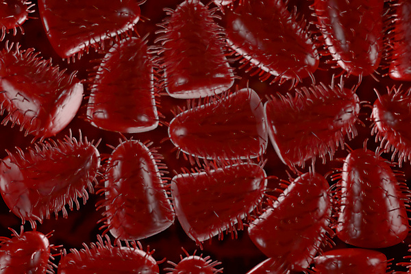 포토 JPG 해외이미지 과학 백그라운드 일러스트 벽지 추상 미래 생물 세포 건강 미술 사람없음 그래픽 약 3D 바이러스 질병 생물학 미생물 박테리아 내추럴 에이즈 유전 해외포토 교육 컨셉 무늬 의학 문화예술 디지털합성 파일형식 이미지허브