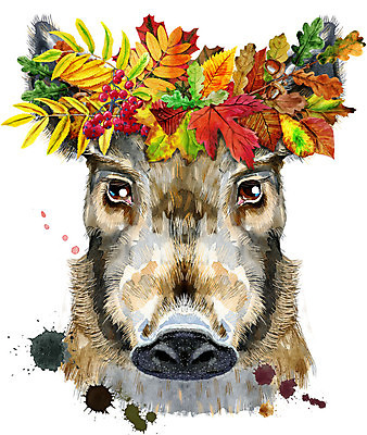 JPG 해외이미지 백그라운드 단풍 잎 일러스트 미술 사람없음 화관 멧돼지 해외일러스트 식물 꽃 포유류 문화예술 파일형식 이미지허브