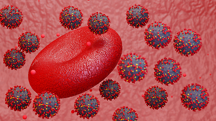 포토 JPG 해외이미지 세포 사람없음 빨간색 3D 적혈구 혈구 코로나바이러스 델타변이바이러스 오미크론 해외포토 컬러 바이러스 디지털합성 혈관 파일형식 이미지허브