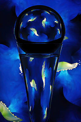 포토 JPG 해외이미지 파도 백그라운드 패턴 유리 표면 숙이기 사람없음 물 파란색 빛 컬러풀 반사 지구본 어둠 물방울 원형 변화 중앙 방향 그림 각도 인덱스 느림 프리즘 해외포토 자연요소 도형 바다 컬러 포즈 컨셉 무늬 재질 광학기기 파일형식 이미지허브