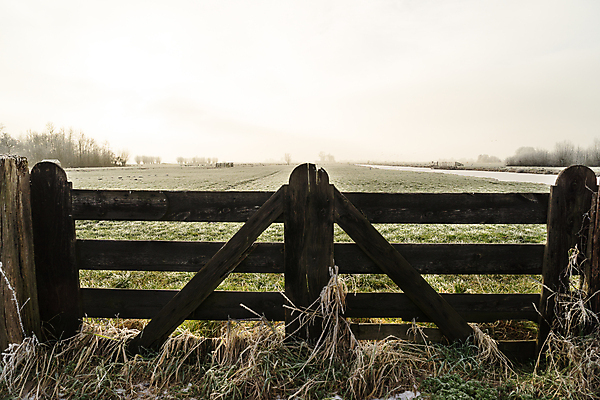 포토 JPG 해외이미지 식물 유럽 겨울 밭 자연 하늘 사람없음 야외 목재 울타리 햇빛 환경 냉동 얼음 목장 경계선 시골 보호 땅 네덜란드 서리 장면 헌병 해외포토 자연요소 나무 계절 나라 선 컨셉 농업 재료 담장 태양 군인 경계 생태계 파일형식 이미지허브