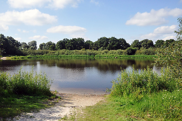 포토 JPG 해외이미지 나무 공원 호수 모래 섬 여행 백그라운드 자연 하늘 휴가 사람없음 야외 초록색 물 파란색 강 환경 맑음 숲 벨로루시 해외포토 자연요소 식물 공공시설 컬러 날씨 생태계 파일형식 이미지허브