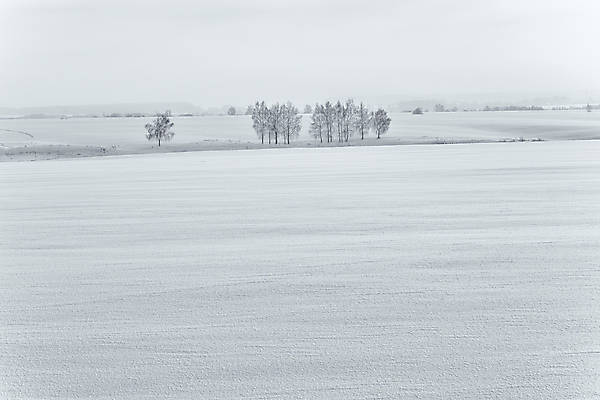 포토 JPG 해외이미지 나무 식물 구름 계절 공원 여행 백그라운드 겨울 밭 자연 하늘 날씨 산 흑백 풍경 초원 사람없음 야외 목재 빛 햇빛 태양 뷰티 환경 맑음 냉동 검은색 추위 흰색 숲 언덕 서리 장면 제설기 수평선 해외포토 자연요소 공공시설 컬러 농업 재료 촬영기법 생태계 제설 파일형식 이미지허브