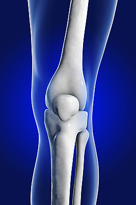 포토 JPG 해외이미지 남자 스포츠 과학 신체 일러스트 해부 뼈 골격 건강 사람 사람없음 그래픽 파란색 운동 숫자 약 3D 고통 환자 의사 마사지 질병 상처 사건 관절염 근육질 무릎 외과 테라피 달리기선수 부담 염증 치유 해외포토 문자 감정 컬러 의학 근육 병원 신체부위 뷰티 의료진 몸매 디지털합성 육상선수 파일형식 이미지허브