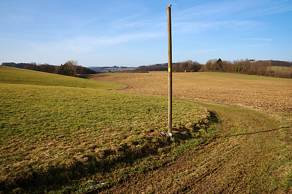 포토 JPG 해외이미지 식물 유럽 길 여행 자국 자연 하늘 독일 파노라마 사람없음 야외 관광지 환경 하이킹 시골 오솔길 생태계 내추럴 해외포토 나라 레저 촬영기법 파일형식 이미지허브
