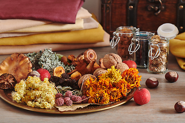 포토 JPG 해외이미지 식물 접시 디자인 열매 꽃 음식 잎 건조 사람없음 장식 유행 쌓기 환경 정원 버섯 견과류 가을 면 항아리 숲 바느질 실크 천 허브 유기농 염색 생태학 퀼트 해외포토 식기 웰빙 계절 교육 모션 직물 도자기 파일형식 이미지허브