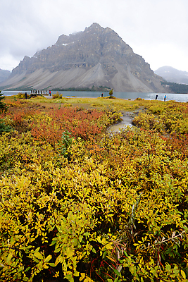 포토 JPG 해외이미지 계절 호수 잎 캐나다 오렌지 사람없음 빨간색 노란색 가을 활 회전 앨버타 로키산맥 해외포토 식물 컬러 북아메리카 과일 산 파일형식 이미지허브