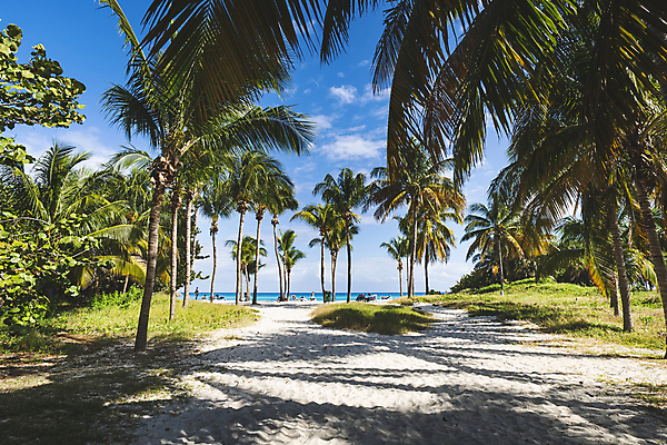 포토 JPG 해외이미지 도로 모래 바다 섬 여행 잎 자국 휴가 휴식 주택 사람 사람없음 야외 물 도시풍경 여행객 정원 미국 캠핑 수확 도시 숲 휴양지 코코넛 쿠바 옛날 안락 해외포토 자연요소 식물 길 컨셉 북아메리카 농업 과일 교통시설 레저 풍경 건물 장소 중앙아메리카 파일형식 이미지허브