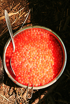 포토 JPG 해외이미지 음식 바다 백그라운드 오렌지 재료 휴가 어류 요리 사람없음 빨간색 식당 숟가락 식사 저녁식사 침묵 신선 그룹 우아함 먹기 해산물 오브젝트 준비 상쾌 소금 연어 러시아인 절임 짠맛 캐비아 세련 해외포토 서양인 감정 컬러 컨셉 과일 식재료 모션 수저 상점 수중동물 소리 맛 파일형식 이미지허브