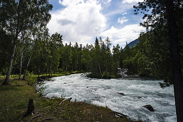 포토 JPG 해외이미지 나무 식물 계절 공원 아시아 여행 백그라운드 자연 하늘 산 풍경 사람없음 야외 목재 초록색 물 여름 강 뷰티 환경 폭포 하이킹 흐름 바위 신선 소나무 개울 급류 숲 강가 속도 러시아 침엽수 내추럴 삼나무 시베리아 절정 해외포토 자연요소 공공시설 유럽 나라 컬러 컨셉 재료 레저 돌_바위 생태계 파일형식 이미지허브