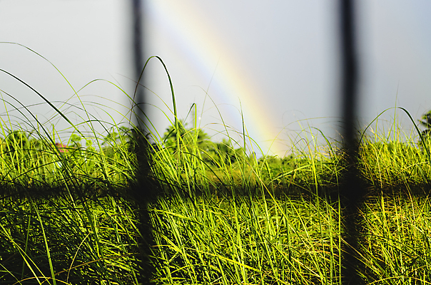 포토 JPG 해외이미지 계절 백그라운드 무지개 잎 밭 자연 하늘 날씨 프레임 그림자 풍경 초원 사람없음 야외 초록색 여름 파란색 컬러풀 환경 봄 장면 해외포토 자연요소 식물 컬러 농업 생태계 파일형식 이미지허브