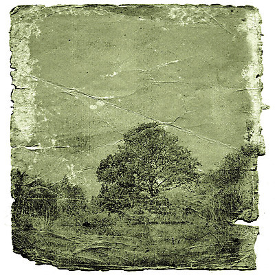 포토 JPG 해외이미지 나무 종이 백그라운드 잎 밭 자연 표면 날씨 추상 프레임 사람없음 책 갈색 노란색 우주 쪽지 공백 수확 점 거친 주름 균열 황폐 질감 문서 복고 심플 캔버스 페이지 스크래치 찢어짐 시트 판지 나쁜 구식 그런지 세피아 양피지 옛날 원고 파피루스 노화 스타일 해외포토 식물 컬러 컨셉 무늬 농업 모션 촬영기법 생태계 파일형식 이미지허브