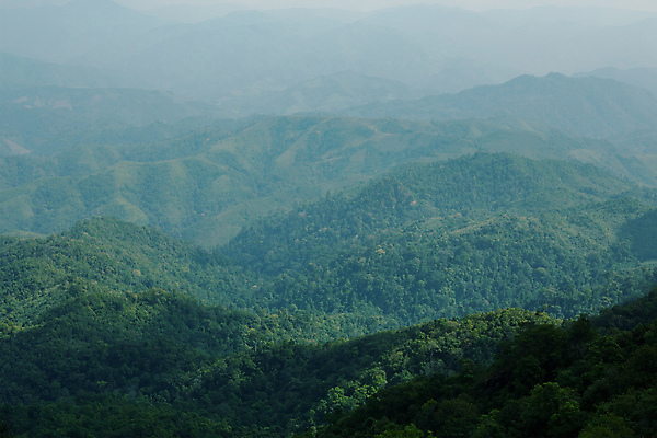 포토 JPG 해외이미지 나무 계절 공원 여행 백그라운드 자연 하늘 날씨 산 사람없음 야외 초록색 뷰티 환경 계곡 봄 하이킹 시골 숲 언덕 산등성이 장면 내추럴 절정 해외포토 식물 공공시설 컬러 레저 생태계 파일형식 이미지허브