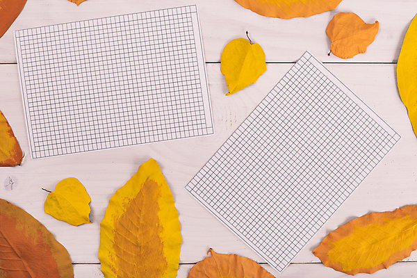 포토 JPG 해외이미지 스튜디오촬영 식물 계절 교육 종이 백그라운드 컨셉 잎 패턴 오렌지 자연 아이디어 프레임 창조 미술 사람없음 목재 장식 가로 갈색 노란색 쪽지 페인트 공백 가을 흰색 화려 그룹 메시지 배열 질감 흙더미 구성 카피스페이스 해외포토 나무 컬러 무늬 과일 재료 문화예술 실내 흙 생태계 파일형식 더미 이미지허브