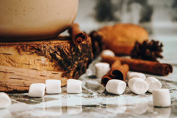 포토 JPG 해외이미지 디저트 사람없음 아웃포커스 컵 머그컵 마시멜로우 따뜻한음료 시나몬 시나몬스틱 해외포토 식기 음료 음식 촬영기법 파일형식 이미지허브