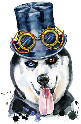 포토 JPG 해외이미지 디자인 안경 백그라운드 일러스트 미술 사람없음 반려동물 개 강아지 시베리안허스키 오드아이 스팀펑크 해외일러스트 동물 잡화 포유류 문화예술 파일형식 이미지허브