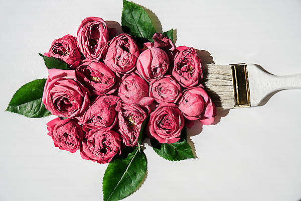 포토 JPG 해외이미지 꽃 컨셉 잎 사람없음 흰배경 페인트붓 해외포토 식물 백그라운드 흰색 붓 파일형식 이미지허브