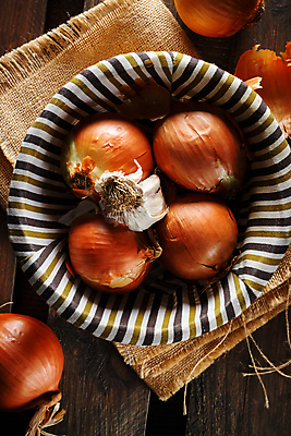 포토 JPG 해외이미지 음식 백그라운드 농업 다이어트 채소 과일 재료 자연 탁자 양파 건강 마늘 요리 사람없음 목재 빨간색 바구니 주방 식사 저녁식사 샐러드 흰색 시골 신선 그룹 시장 허브 향신료 유기농 날것 모음 내추럴 고립 채식주의자 비건 해외포토 나무 식물 웰빙 산업 컬러 가구 한글 생태계 채식 향미료 파일형식 이미지허브