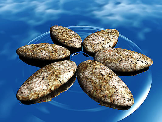 포토 JPG 해외이미지 디자인 꽃 호수 선 파도 바다 백그라운드 컨셉 자연 하늘 추상 휴식 사람없음 물 파란색 태양 뷰티 반사 평화 화목 침묵 봄 거울 조약돌 쌍둥이 순수 명상 서식 심플 내추럴 미니멀리스트 미니멀 해외포토 자연요소 식물 계절 컬러 무늬 가족 소리 돌_바위 생태계 파일형식 이미지허브