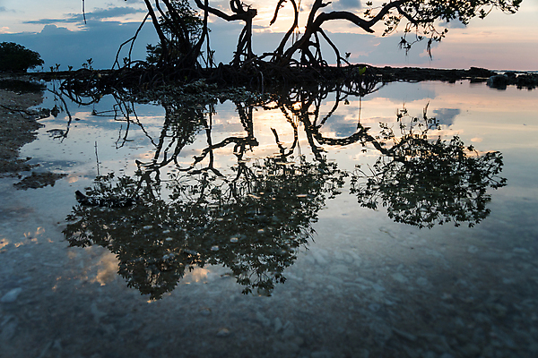 포토 JPG 해외이미지 나무 구름 계절 공원 모래 스포츠 파도 바다 섬 잎 갈매기 하늘 아침 낚시 어류 사람없음 초록색 물 파란색 빛 태양 반사 일출 일몰 가을 보트 막대기 군중 숲 부식 뿌리 운하 폭풍 진흙 내추럴 재앙 해외포토 주간 자연요소 식물 공공시설 컬러 배_교통 조류 레저 날씨 사람 노을 수중동물 파일형식 이미지허브