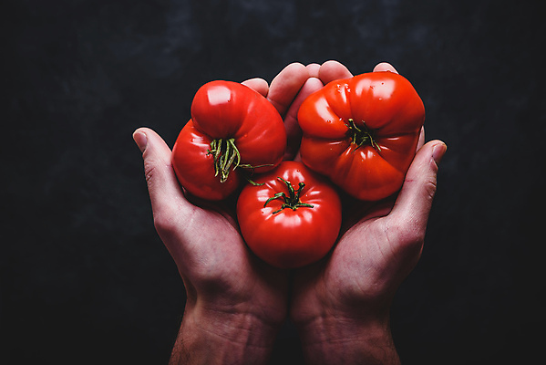 포토 JPG 해외이미지 손 토마토 검은배경 실내 들기 신체부위 세개 해외포토 백그라운드 채소 모션 3 사람 내부 검은색 파일형식 이미지허브