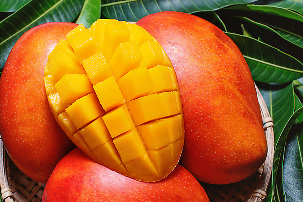 포토 JPG 해외이미지 스튜디오촬영 나뭇잎 근접촬영 사람없음 하이앵글 노란색 바구니 망고 해외포토 뷰포인트 컬러 잎 실내 열대과일 파일형식 이미지허브