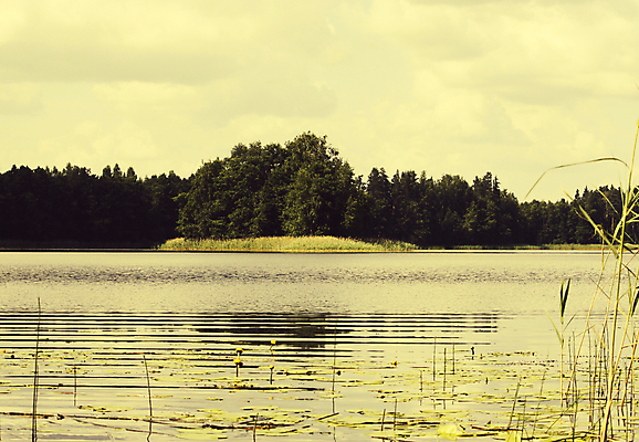 포토 JPG 해외이미지 나무 호수 바다 여행 자연 낚시 풍경 사람없음 초록색 물 여름 파란색 반사 침묵 일몰 시골 야간 숲 장면 수평선 해외포토 자연요소 식물 계절 컬러 레저 노을 소리 생태계 파일형식 이미지허브