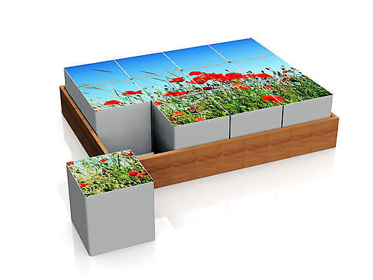 포토 JPG 해외이미지 식물 꽃 행복 놀이 사람없음 장난감 게임 큐브 양귀비 해외포토 감정 파일형식 이미지허브