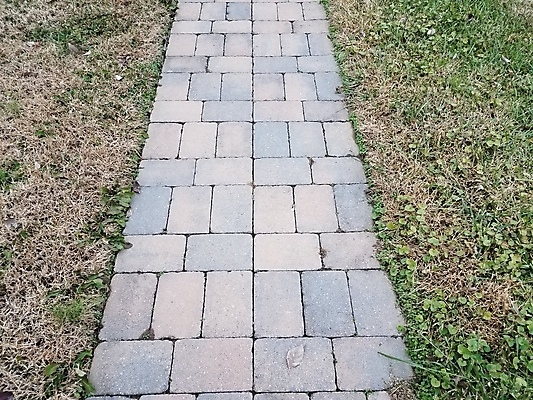 포토 JPG 해외이미지 길 자국 벽돌 잔디 사람없음 야외 초록색 갈색 회색 타일 조경 해외포토 식물 컬러 파일형식 이미지허브