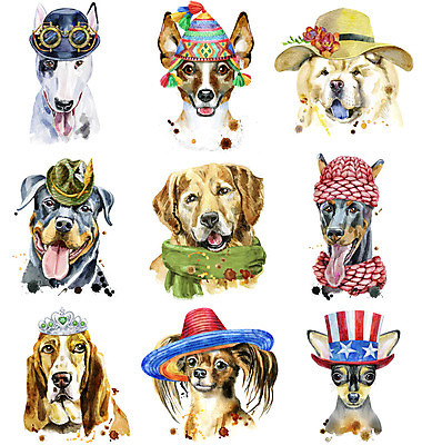 포토 JPG 해외이미지 디자인 안경 백그라운드 일러스트 왕관 털모자 미술 사람없음 반려동물 세트 목도리 개 강아지 성조기 요크셔테리어 테리어 밀짚모자 불독 차우차우 포메라니안 스팀펑크 해외일러스트 동물 모자_잡화 잡화 포유류 문화예술 국기 파일형식 이미지허브