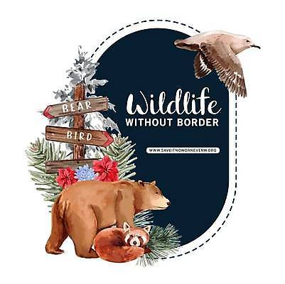 EPS 해외이미지 꽃 야생동물 점선 겨울 일러스트 곰 조류 프레임 세마리 사람없음 소나무 표지판 솔잎 너구리 프레임일러스트 해외일러스트 나무 식물 동물 계절 선 잎 포유류 알림판 3 파일형식 벡터 이미지허브