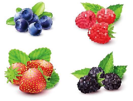 EPS 해외이미지 백그라운드 잎 일러스트 딸기 사람없음 컬러풀 신선 심볼 블루베리 산딸기 블랙베리 해외일러스트 식물 컬러 과일 파일형식 벡터 이미지허브