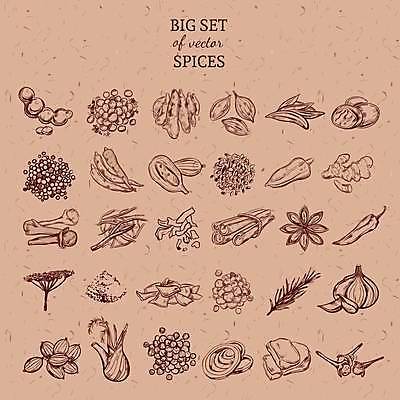 EPS 해외이미지 식물 디자인 음식 백그라운드 컨셉 꽃무늬 일러스트 재료 고추 양파 추상 파프리카 마늘 요리 미술 씨앗 장식 세트 갈색 조미료 고수 낙서 인도인 수집 머스터드 허브 심볼 오브젝트 사인 깨 후추 생강 로즈메리 내추럴 고립 바닐라 사프란 시나몬 엘리먼트 강황 해외일러스트 외국인 꽃 컬러 무늬 채소 식재료 문화예술 동양인 소스_음식 향신료 향미료 파일형식 벡터 이미지허브
