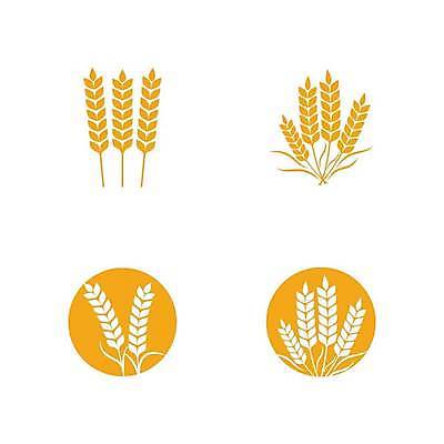 EPS 해외이미지 식물 디자인 배너 음식 빵 농업 다이어트 일러스트 밥 건강 농작물 농장 라벨 성장 신선 황금 상품 낟알 밀 심볼 사인 유기농 내추럴 엘리먼트 귀리 해외일러스트 웰빙 산업 곡류 프레임 파일형식 벡터 이미지허브